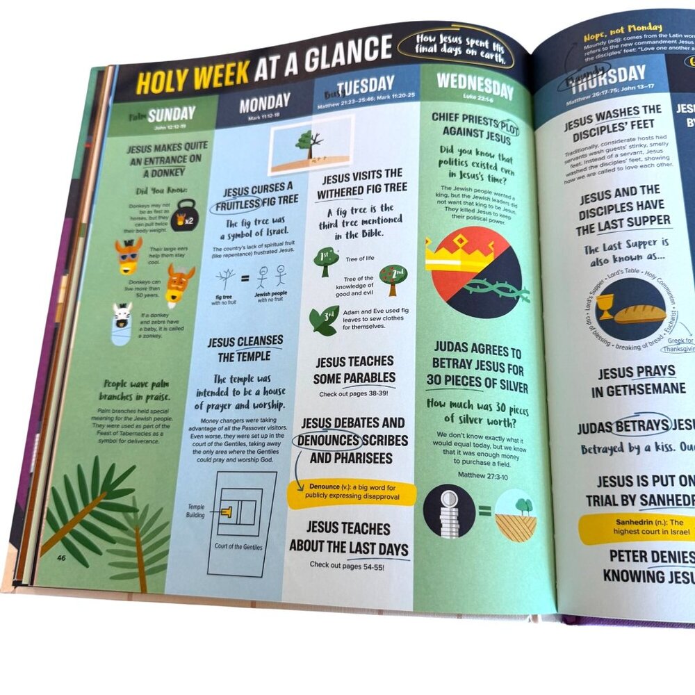 Bible Infographics for Kids Epic Guide to Jesus Harvest Kids Christian Book - Picture 4 of 5
